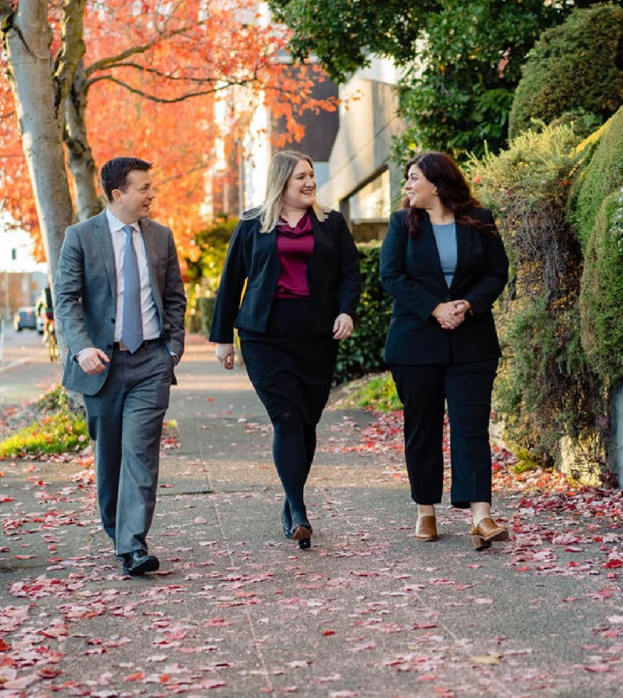 home_image_great-lawyer