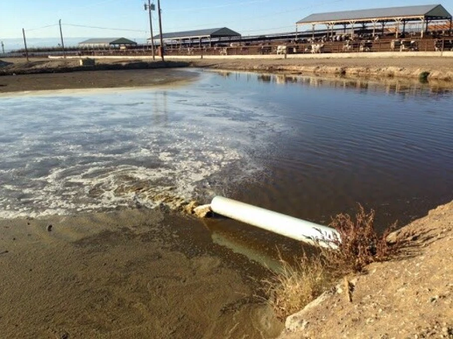 EricksenReportWasteDisposal-520x389